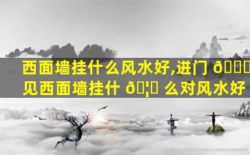 西面墙挂什么风水好,进门 🐟 见西面墙挂什 🦊 么对风水好